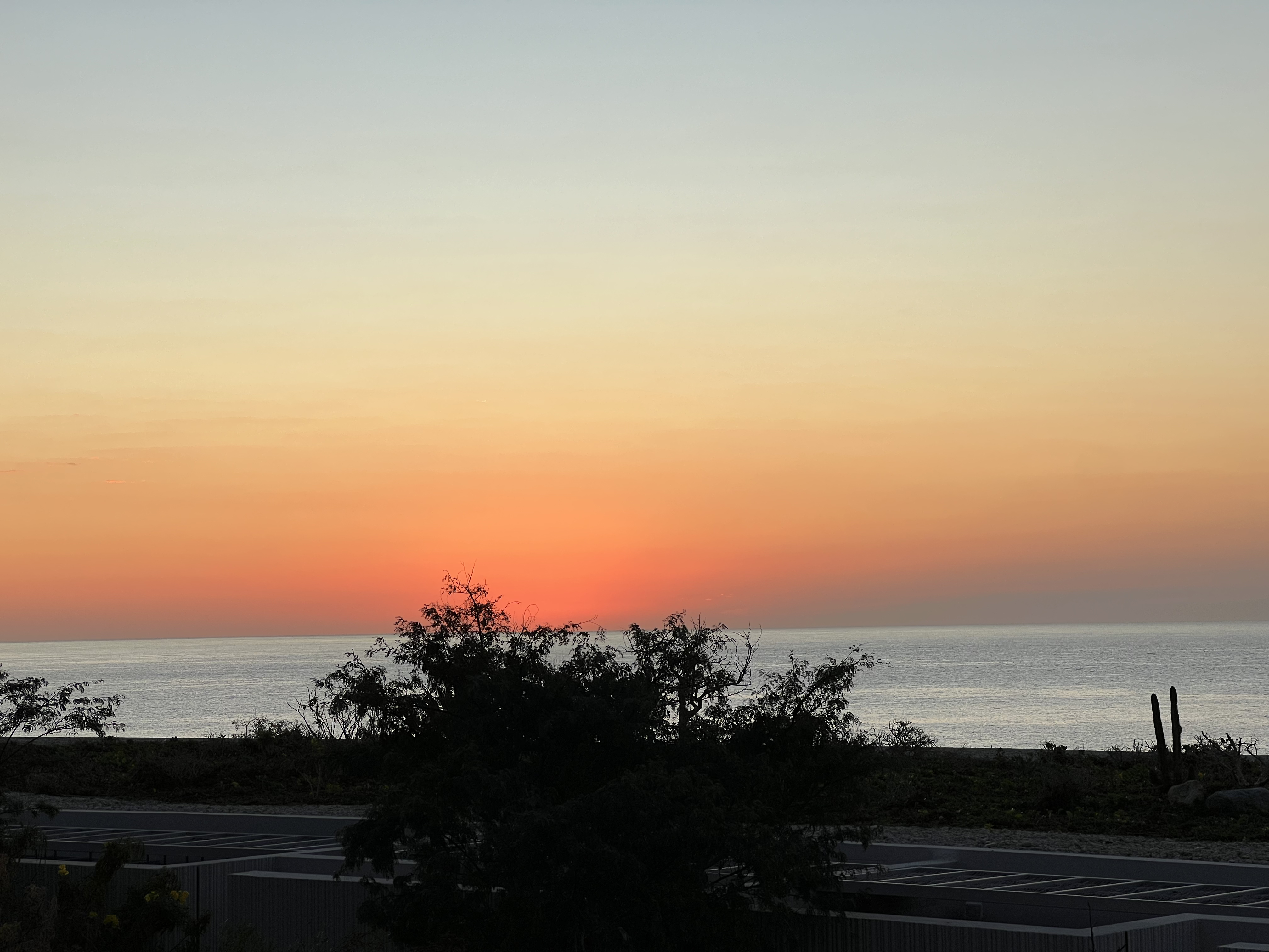 ./2024/13 - Cabo/IMG_4923.jpg